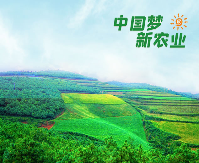 走進(jìn)盛農(nóng) 走進(jìn)盛農(nóng)